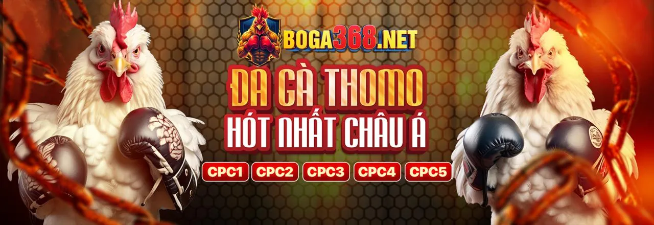 Chính sách bảo mật dữ liệu của gh88 code