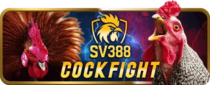Mẹo chơi slot games hiệu quả tại gh88 code